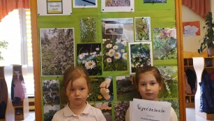 dzieci z dyplomami pozują do zdjęcia, w tle tablica ze zdjęciami wiosna